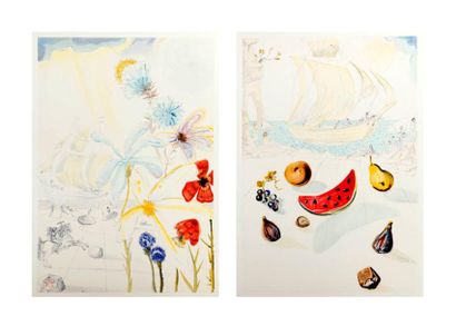 DALI Salvador
Duo 1) Ship and flowers 2 )...