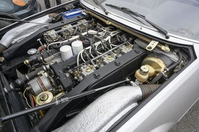 FERRARI 365 GT4 / 2+2


1973





Type: 365...