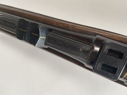 Carabine à verrou Hartmann & Weiss Hamburg...
