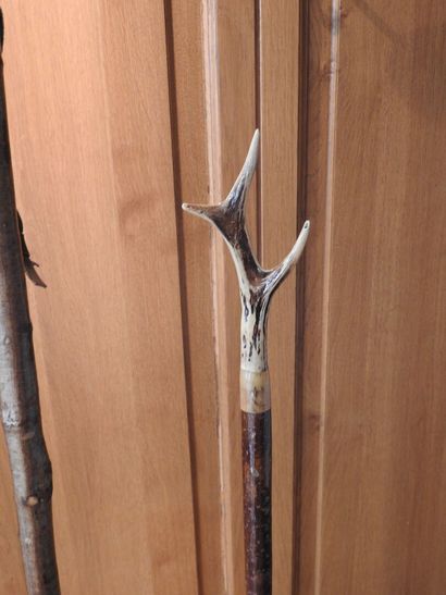 Deux cannes de pirsch en bois et andouiller...