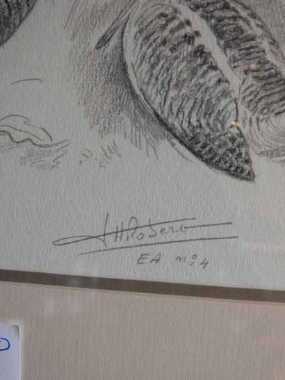 JH ROBERT. Bécasses. Lithographie signée...
