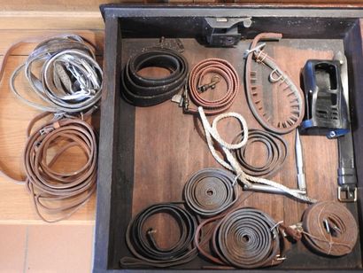 Lot de sangles et de laisses.