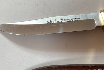 Petit couteau de chasse Muela Molibdeno,...