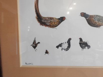 DESGRÉES DU LOÛ : Rivalités. Aquarelle signée...