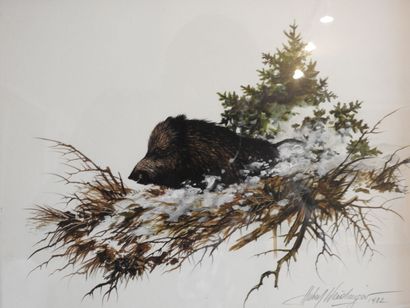 Hubert WEIDINGER (1951) : Le sanglier. Aquarelle...