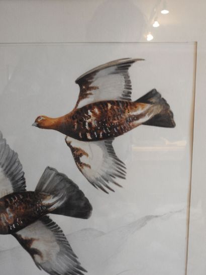 Blaise PRUD'HON :  Les perdreaux. Aquarelle...