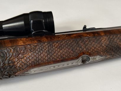 Fusil Mixte, deux coups, un coup calibre...