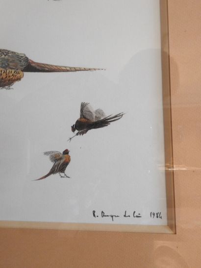 DESGRÉES DU LOÛ : Rivalités. Aquarelle signée...
