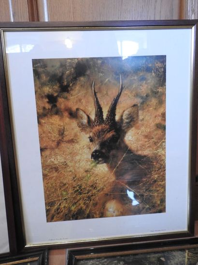 Lot de 8 gravures, chromolithographies et...
