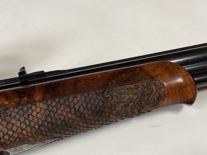 Fusil Mixte, deux coups, un coup calibre...