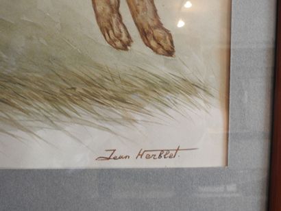 Jean HERBELET (1893-1985) : Lièvre courant....