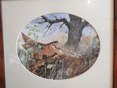 REN ISHERWOOD (XXe).: Série de six aquarelles...