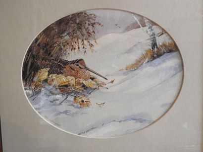 REN ISHERWOOD (XXe).: Série de six aquarelles...
