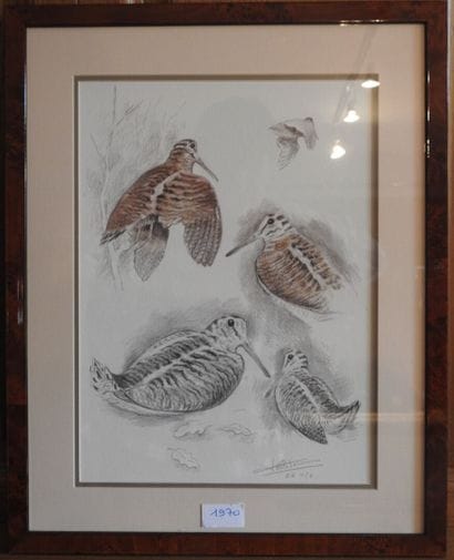 JH ROBERT. Bécasses. Lithographie signée...