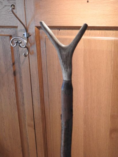 Deux cannes de pirsch en bois dont une pliante...