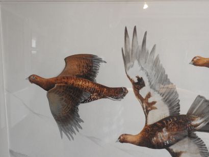 Blaise PRUD'HON :  Les perdreaux. Aquarelle...
