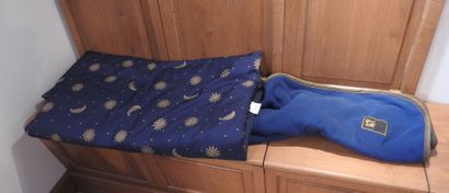 Lot comprenant : tapis de sol, divers accessoires...