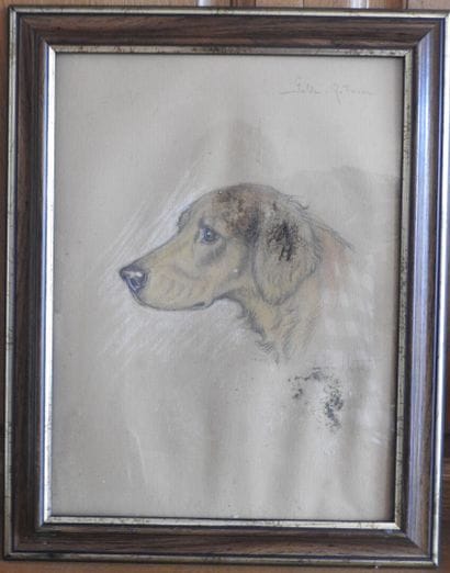 Jean HERBELET (1893-1985) : Golden Retriver....
