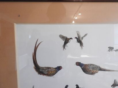 DESGRÉES DU LOÛ : Rivalités. Aquarelle signée...