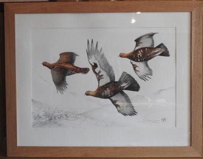 Blaise PRUD'HON :  Les perdreaux. Aquarelle...