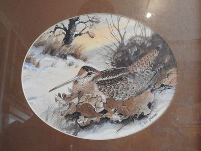 REN ISHERWOOD (XXe).: Série de six aquarelles...