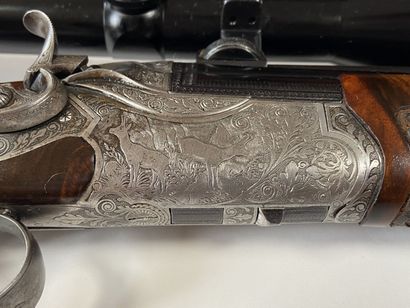 Fusil Mixte, deux coups, un coup calibre...