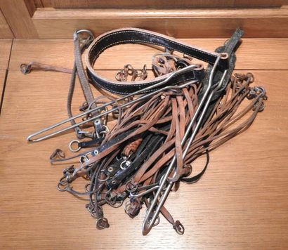 Lot de lanières en cuir pour porter les ...