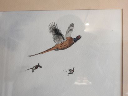 DESGRÉES DU LOÛ (Chasse aux faisans. Epreuve...