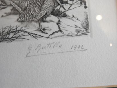 Francis BÉRILLE (né en 1945): Bécasses en...