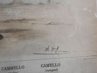 Série de cinq gravures en couleurs, animaux...