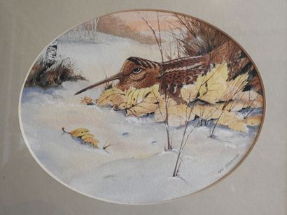 REN ISHERWOOD (XXe).: Série de six aquarelles...