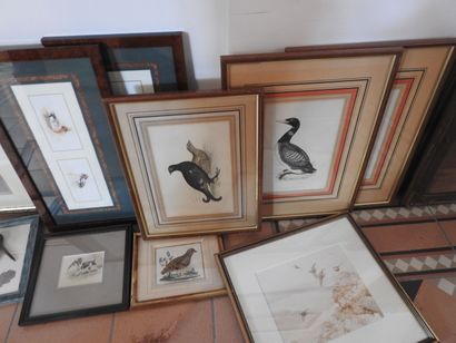 Lot de 13 reproductions et gravures thème...