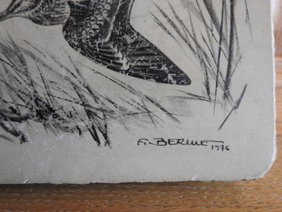 Francis BÉRILLE (né en 1945): Pierre dure...