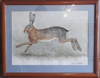 Jean HERBELET (1893-1985) : Lièvre courant....