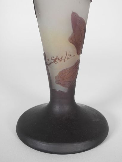 Émile GALLÉ (1846-1904).

Tapered vase on...