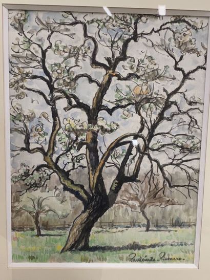 Paul-Émile PISSARO (1884-1972).

The apple...