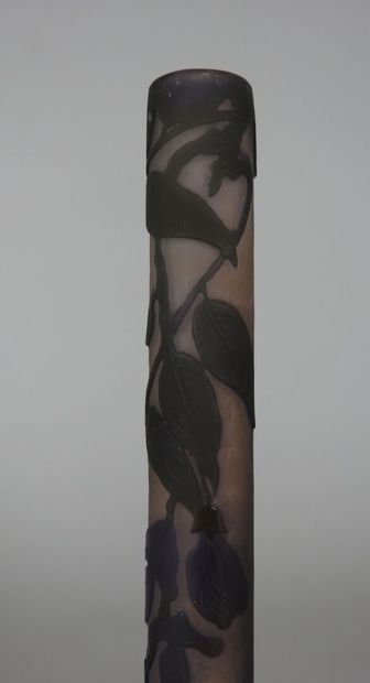 Émile GALLÉ (1846-1904).

Vase soliflore...