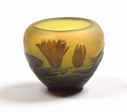 Émile GALLÉ (1846-1904).

Small vase in multi-layered...