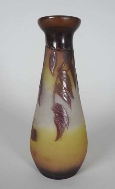 Émile GALLÉ (1846-1904).

Vase soliflore...