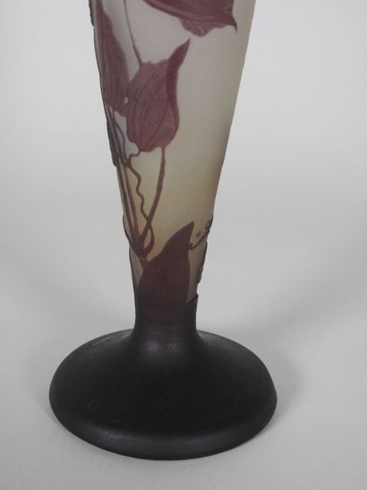 Émile GALLÉ (1846-1904).

Tapered vase on...