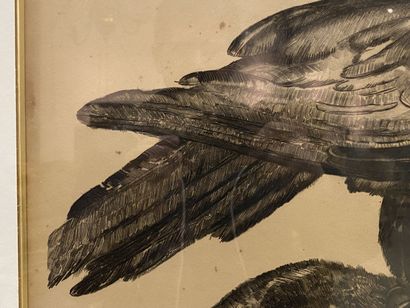 Paul JOUVE (1878-1973).

Eagle embracing...