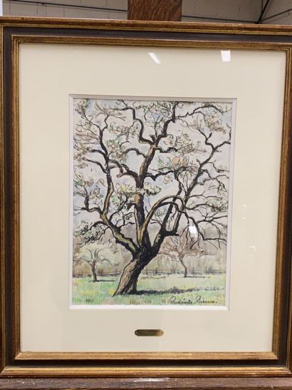 Paul-Émile PISSARO (1884-1972).

The apple...
