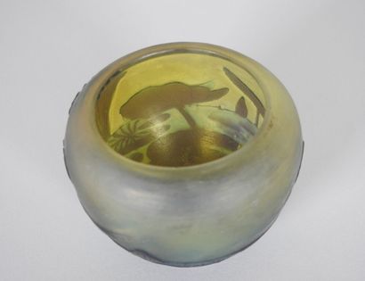 Émile GALLÉ (1846-1904).

Small vase in multi-layered...