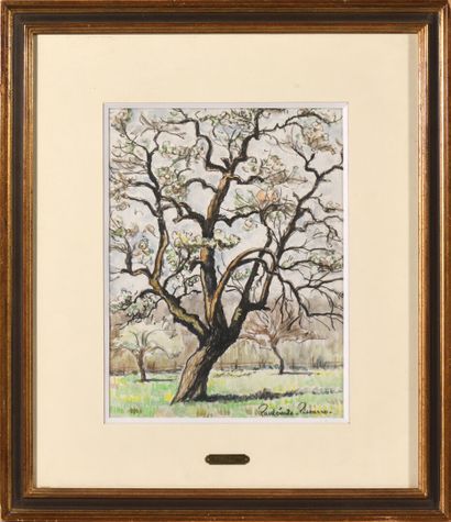 Paul-Émile PISSARO (1884-1972).

The apple...