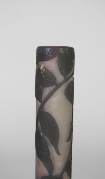 Émile GALLÉ (1846-1904).

Vase soliflore...