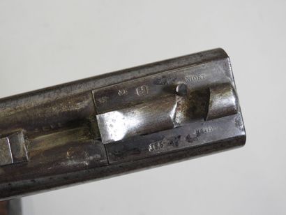 Beautiful rifle with pistons with juxtaposed...