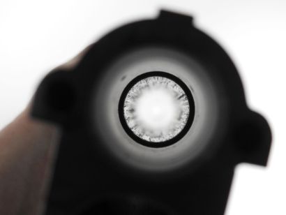 Shotgun of mark MANUFRANCE model FALCOR with...