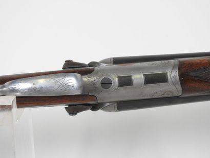 Fusil à pistons à percussion centrale à canons...