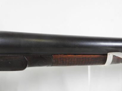 Piston rifle with juxtaposed barrels gauge...