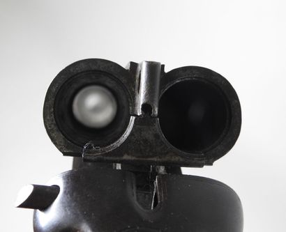 Piston rifle with juxtaposed barrels gauge...